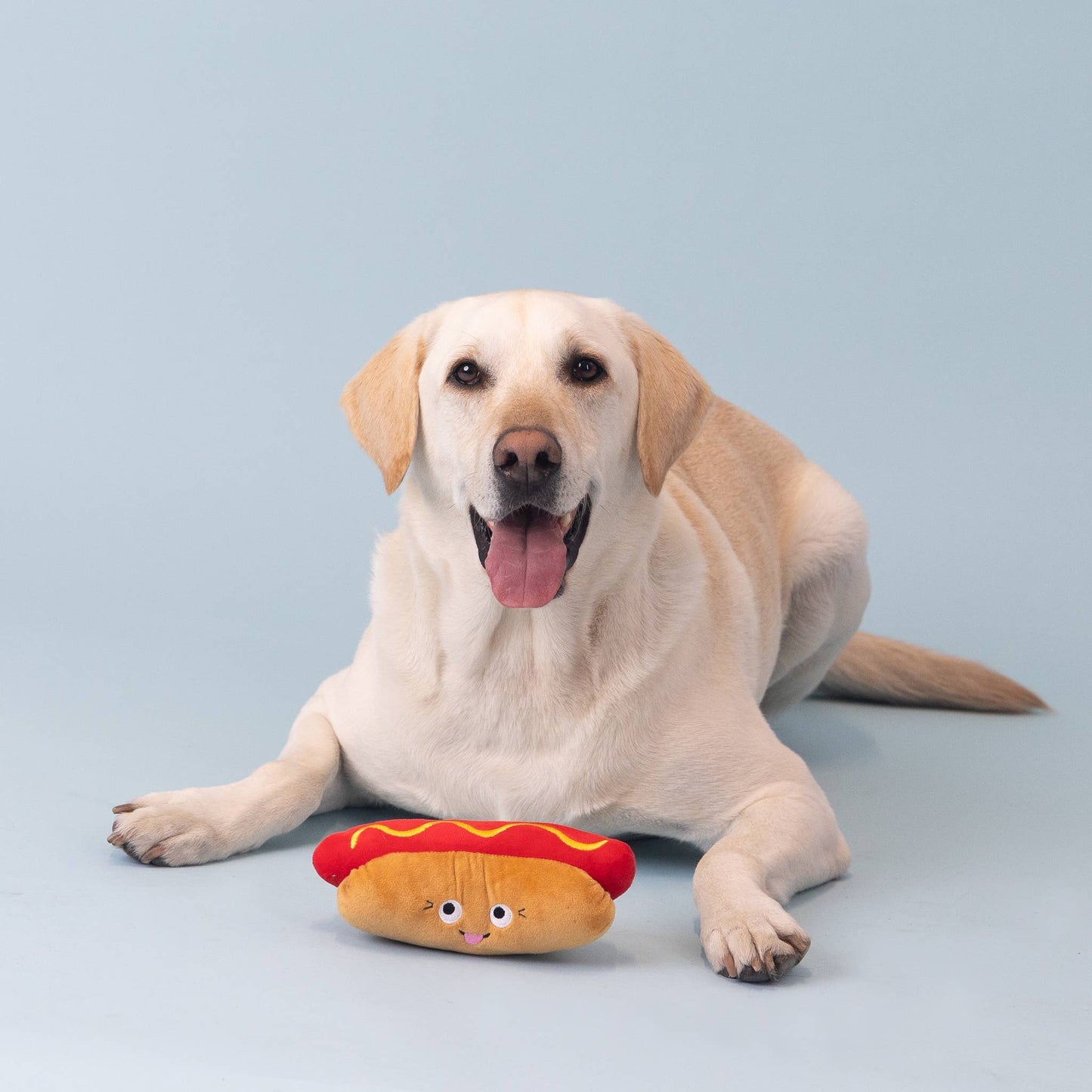 Sun's Out Buns Out Plush Dog Toy