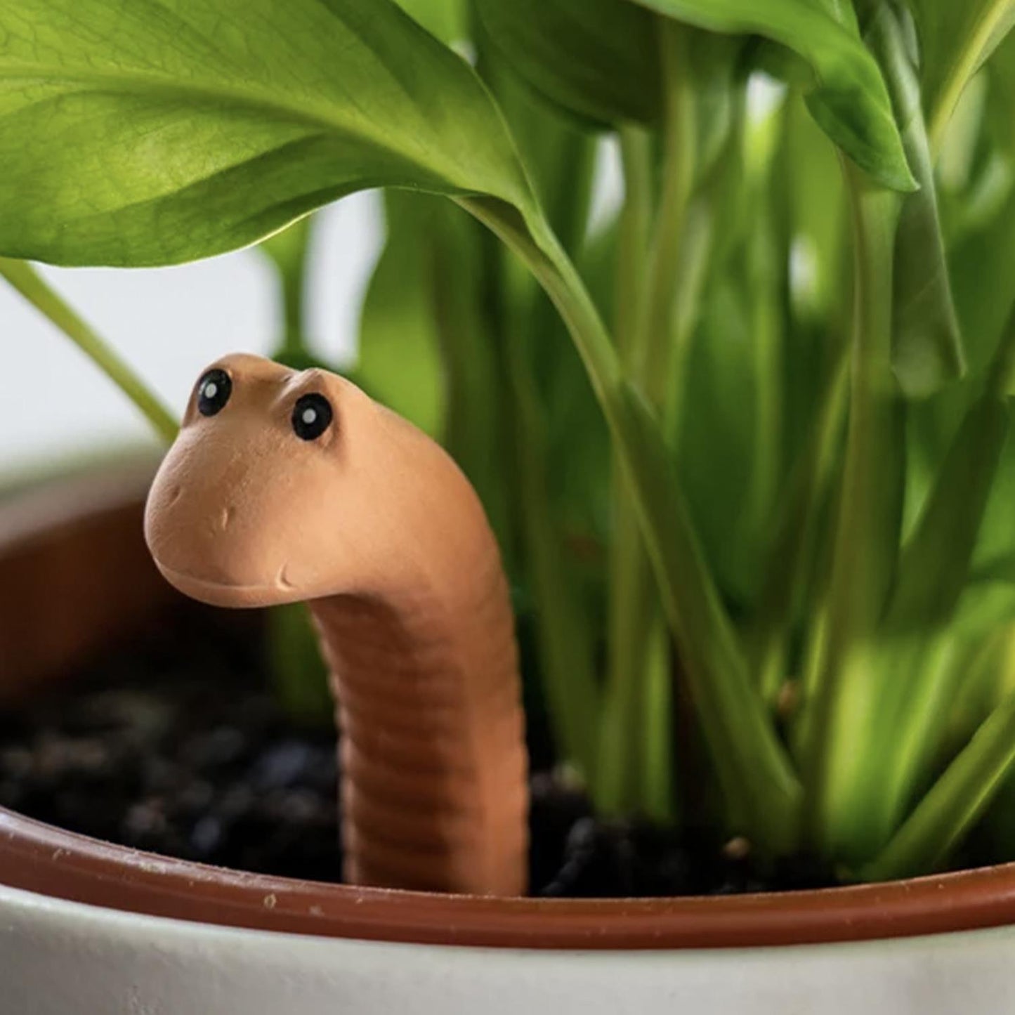 Water Worm