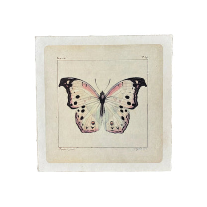 Flora & Fauna Art Poster, 8x8