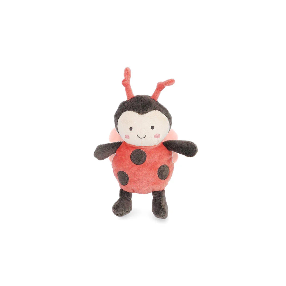 Lil' Ladybug