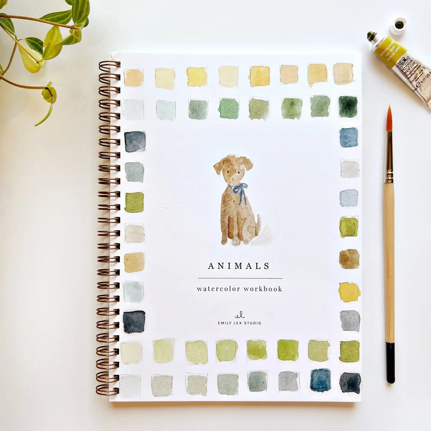 Watercolor Workbooks