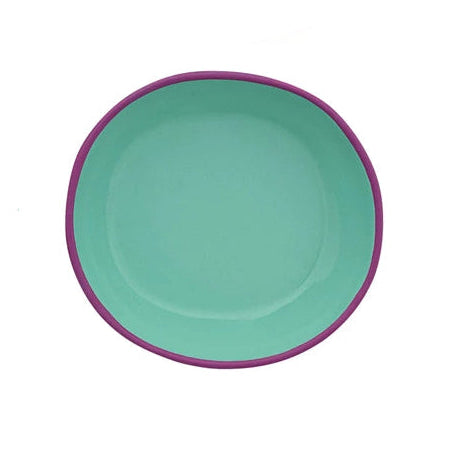 Enameled Stainless Steel Dish with Colored Edge